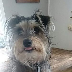 Meet your Posher, Pam